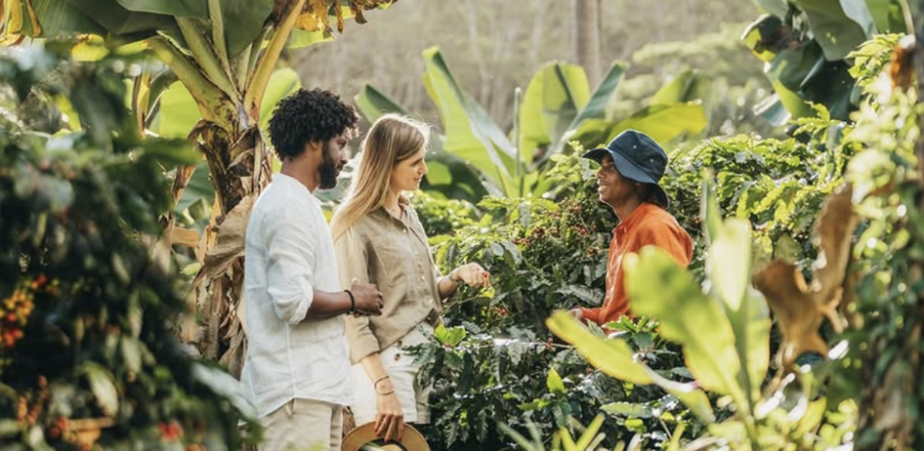 Coffee tour chamarel